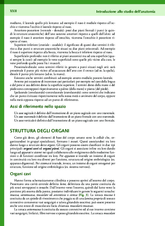 Anatomia per le lauree triennali e magistrali - Edizioni Idelson Gnocchi