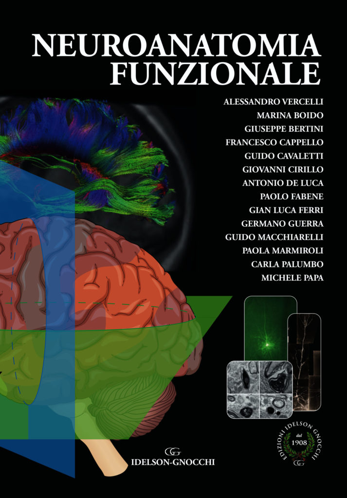 https://www.idelsongnocchi.com/shop/wp-content/uploads/2019/09/Booklet_Neuroanatomia-funzionale-713x1024.jpg