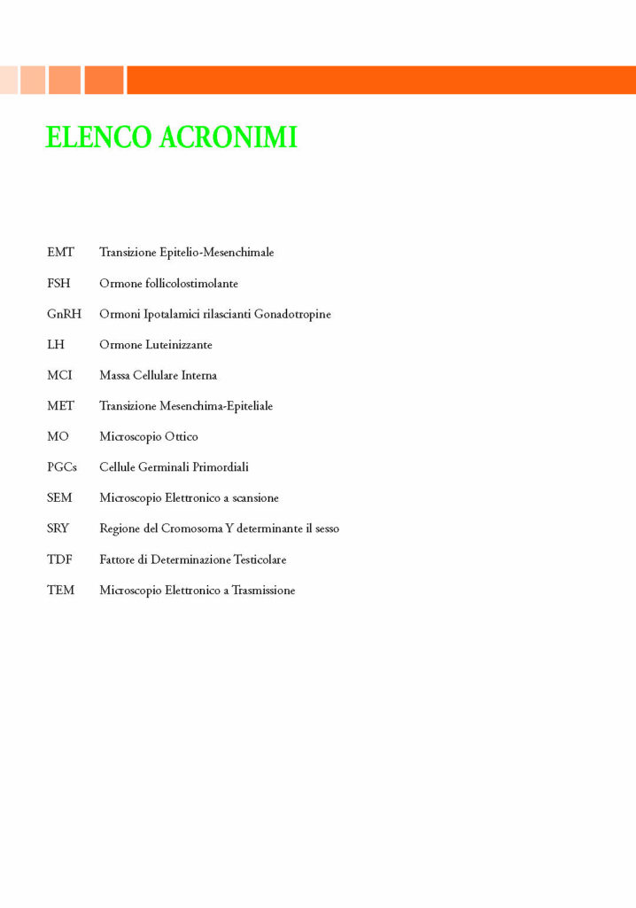 https://www.idelsongnocchi.com/shop/wp-content/uploads/2024/04/AVANTESTO-Patruno-Embriologia_Pagina_17-718x1024.jpg